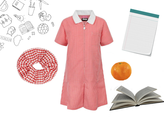 red school summer dress with school items